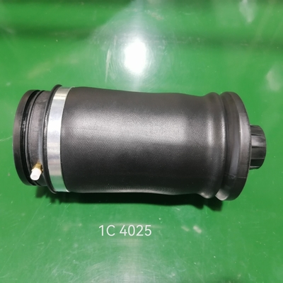 Lò xo treo sau thay thế trực tiếp 1.969 kg cho số OE 1643200925