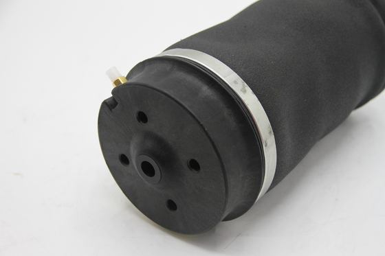 Đổi trực tiếp Lưng treo không khí xuân 1.793 kg cho số OE 1663200325