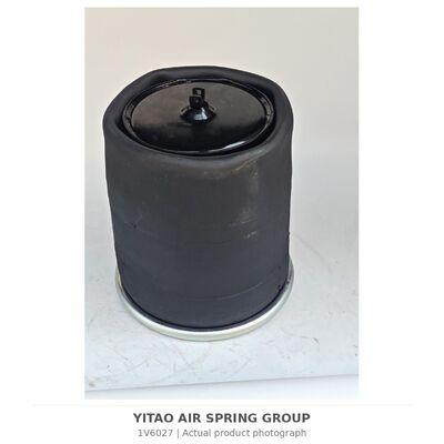 1V6027 Giảm xóc hơi xe tải cho Volvo 1076594 1076595 | W01-M58-9760 4713NP02