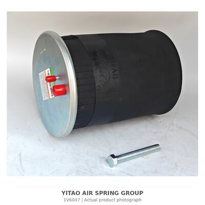 1V6047 Lò xo khí xe tải MAN 81.43600.6035 81436006066 | 4884N1P06