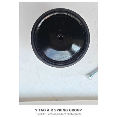 1V6047 Lò xo khí xe tải MAN 81.43600.6035 81436006066 | 4884N1P06