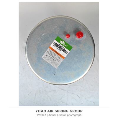 1V6047 Lò xo khí xe tải MAN 81.43600.6035 81436006066 | 4884N1P06
